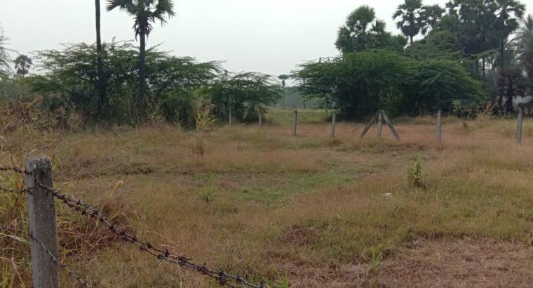 Commercial Open Land for Lease Or Rent at Chepuru, Tuni