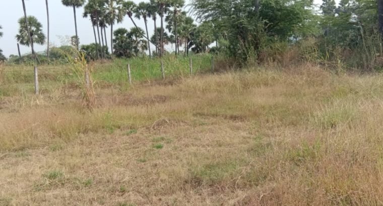 Commercial Open Land for Lease Or Rent at Chepuru, Tuni