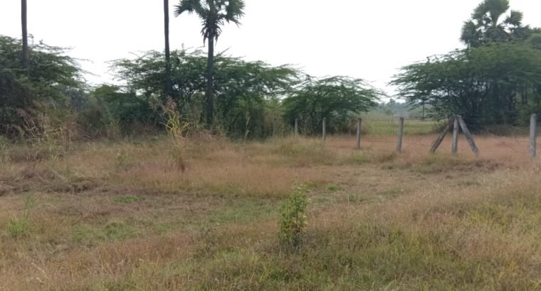 Commercial Open Land for Lease Or Rent at Chepuru, Tuni