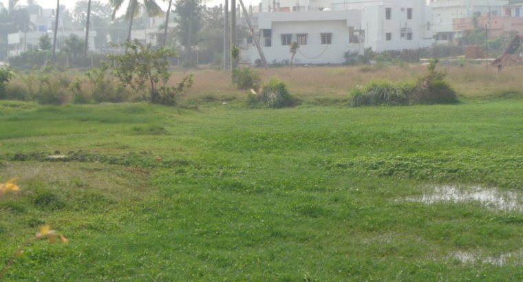 Residential Open Land for Sale at Nadakuduru, Near Kakinada