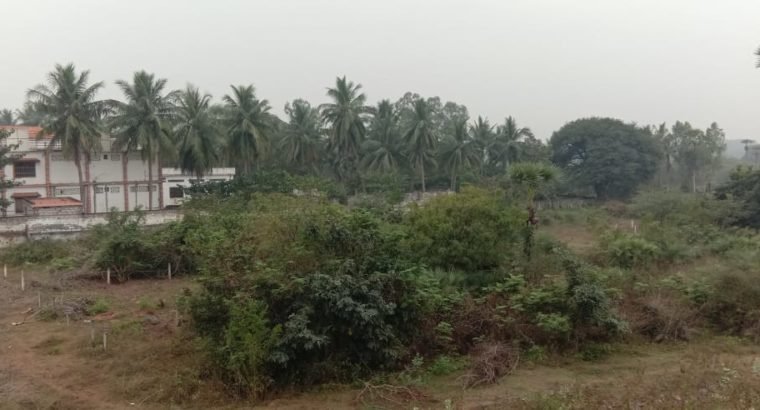 Plot for Sale Near 4th Bridge Road Diwancheruvu