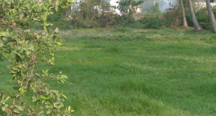 Residential Open Land for Sale at Nadakuduru, Near Kakinada