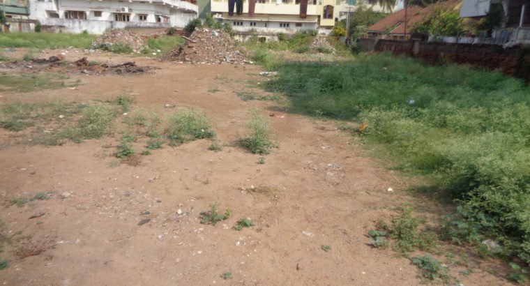 Commercial Site for Sale at Ramarao Peta, Tadepalligudem