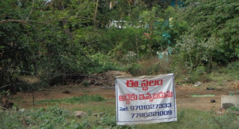 Site For Lease at Draksharamam Road, Ramachandrapuram