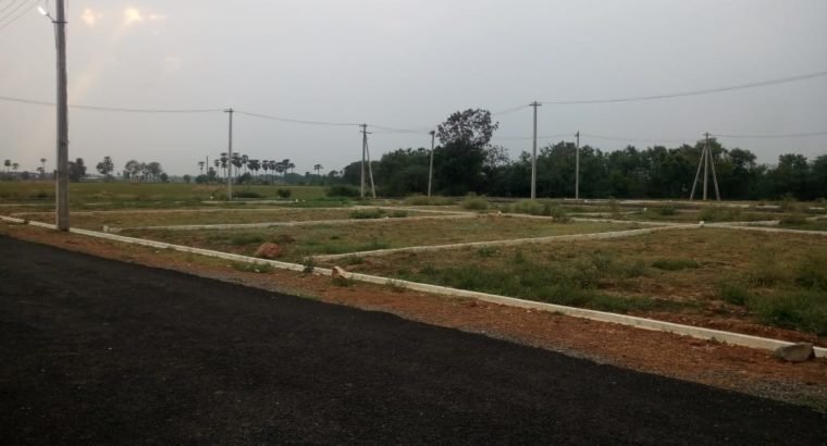 DTCP Plots for Sale at G.K. Nagar, Near NH 216, Gollaprolu