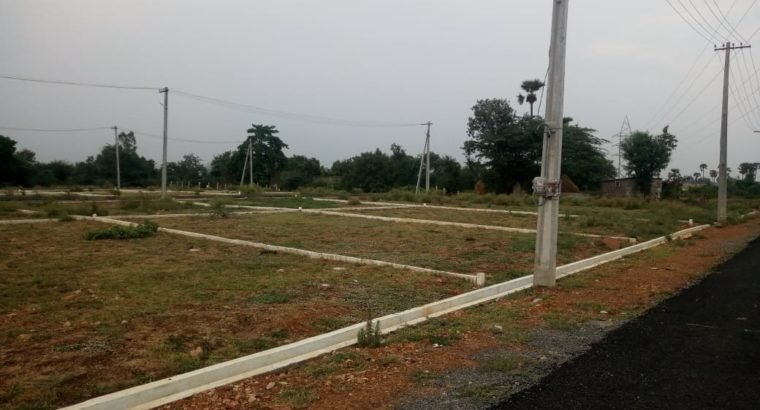 DTCP Plots for Sale at G.K. Nagar, Near NH 216, Gollaprolu