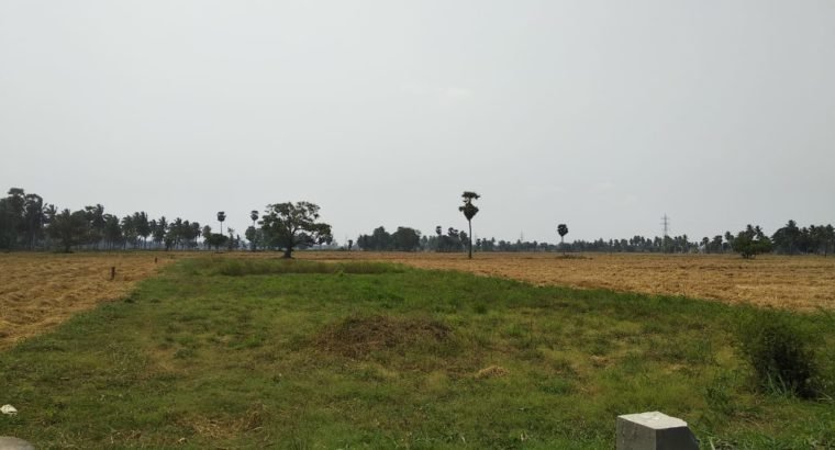 450 & 550 YARDS RESIDENTIAL PLOTS FRO SALE AT RAMACHANDRAPURAM MUCHIMILLI AREA EASTGODAVARI