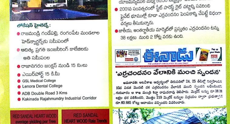 Aamogha Gardens – Easy EMI Options on Sandalwood Plantation @ Rajahmundry