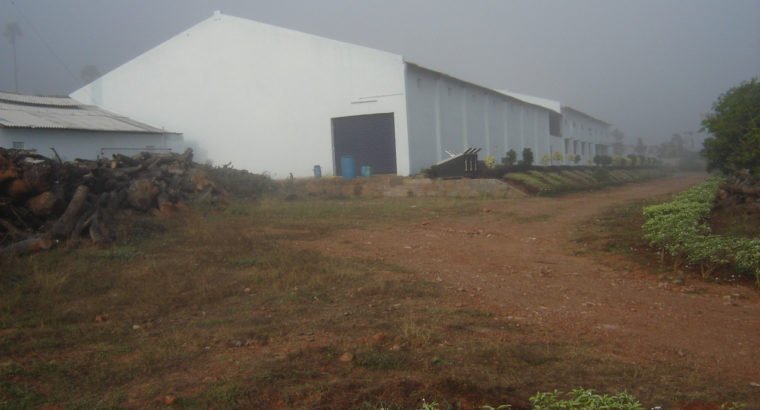 Industrial Go-Down for Rent at Nellimarla, Saripalli Road, Vizianagaram.