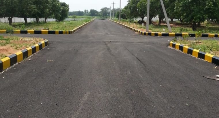 Plots for Sale at Peddapendyala Village, Waranagal Urban