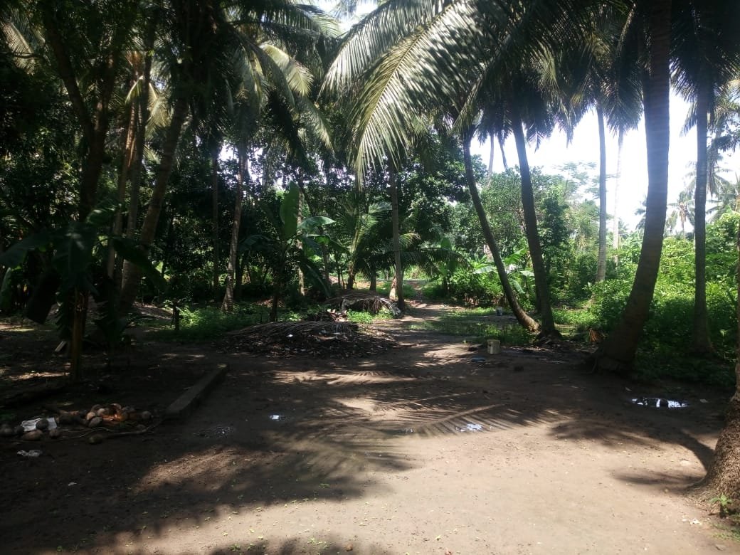 Site For Sale at Gollakottivari Palem, Kothapeta