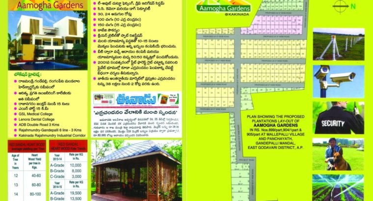 Aamogha Gardens – Easy EMI Options on Sandalwood Plantation @ Kakinada