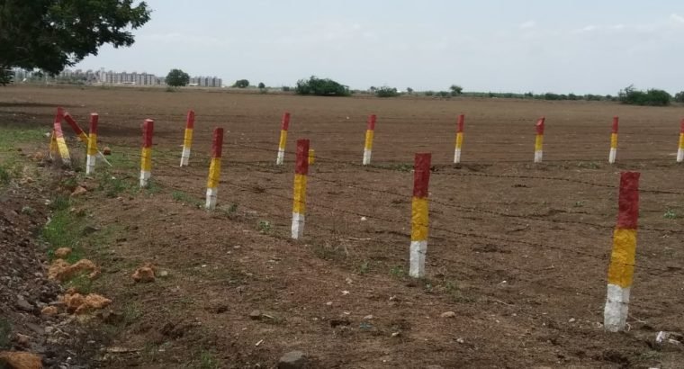 Plots for Sale at Ongole to Kothapatnam Road