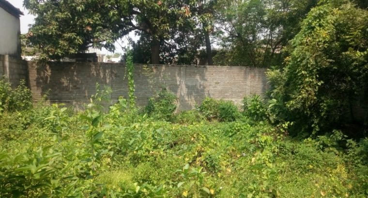 Site For Lease at Jagannaickpur, Narasimha Road, Kakinada