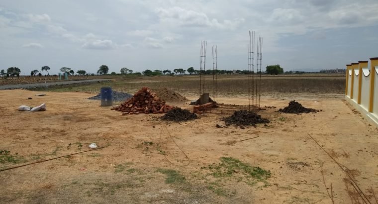 Plots for Sale at Ongole to Kothapatnam Road