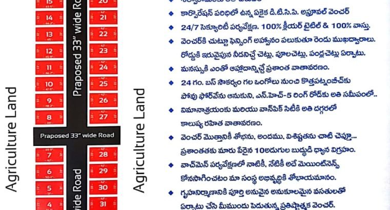 Plots for Sale at Ongole to Kothapatnam Road