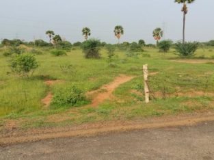 100 Acres Of Agricultural Land For Sale at Bhimolu Gopalapuram Mandal.