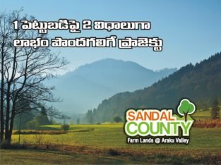 Sandal Wood Plantation Plots for Sale at Aaraku Valley