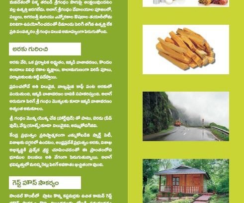 Sandal Wood Plantation Plots for Sale at Aaraku Valley