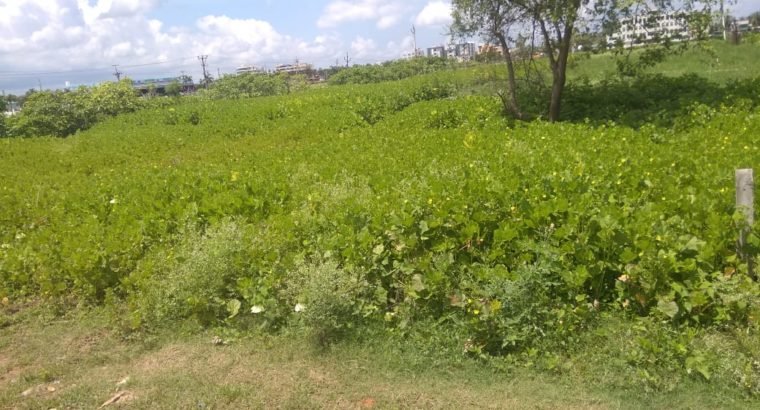 Open Land For Sale Near Ramachandra Function Hall, Penumadam ByPass Road, Palakollu