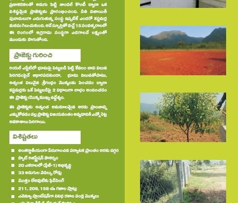 Sandal Wood Plantation Plots for Sale at Aaraku Valley