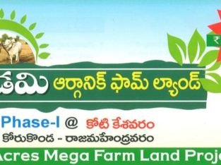 99 Acres Mega Farm Land Project at kotikesavaram, Korukonda, Rajahmundravaram