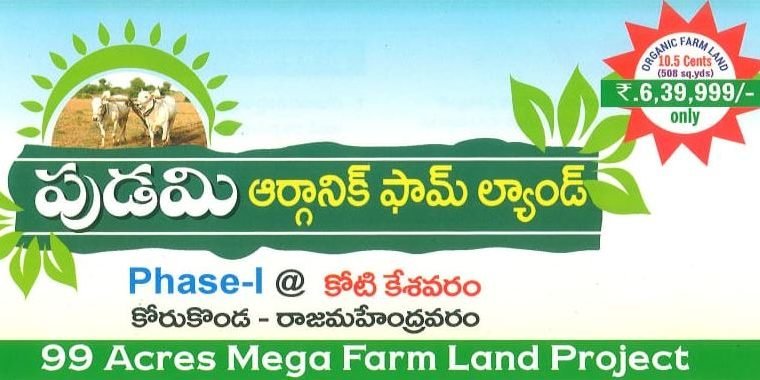 99 Acres Mega Farm Land Project at kotikesavaram, Korukonda, Rajahmundravaram