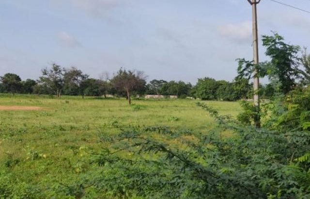 Agricultural Land For Sale Near Edwardpeta, Narasaraopeta