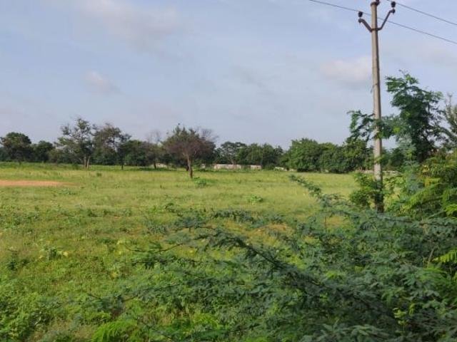 Agricultural Land For Sale Near Edwardpeta, Narasaraopeta