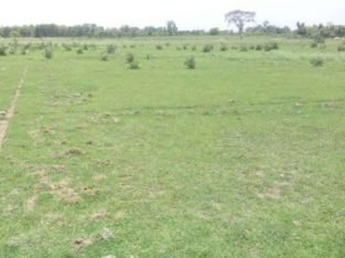 Open Land For Sale at Near X-Roads, Jaityala