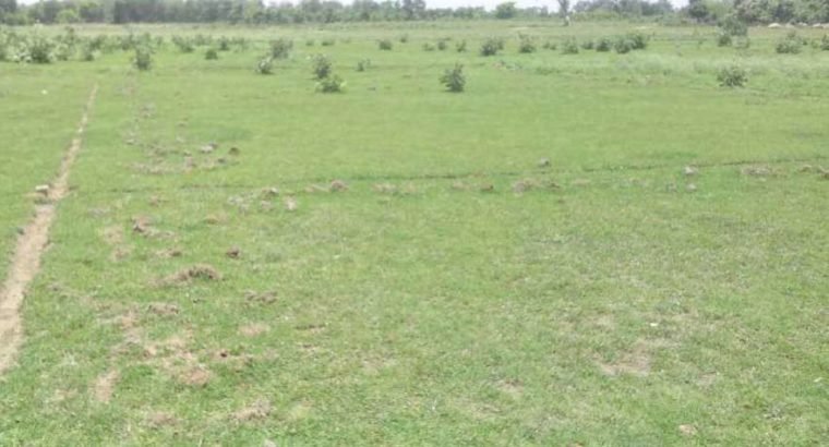 Open Land For Sale at Near X-Roads, Jaityala