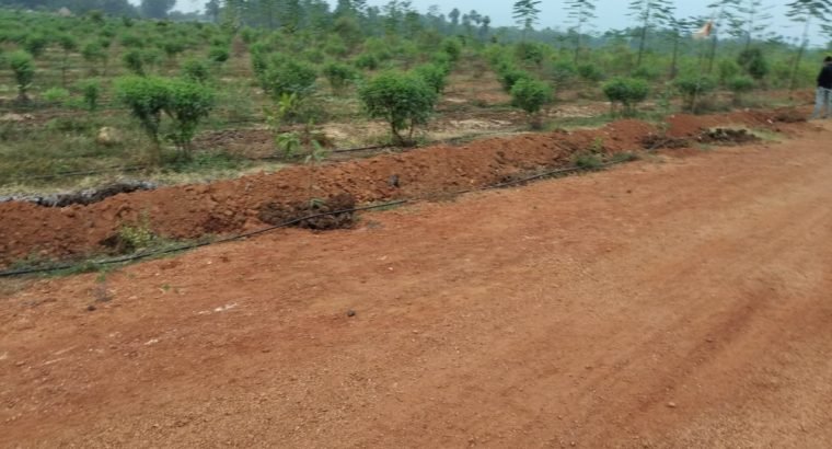 Residential Plots For Sale at Arilova, Visakhapatanam