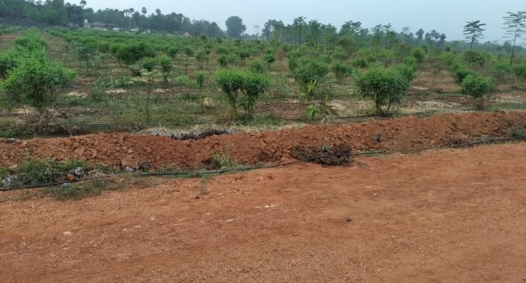 Residential Plots For Sale at Arilova, Visakhapatanam