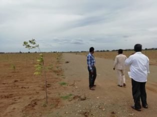 Sai Krishna Estates and Projects Podili, Prakasam District