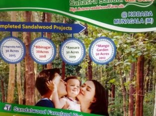 Open Plots for Sale with Sandlawood Plantation at Suryapet, Munagala Mandal