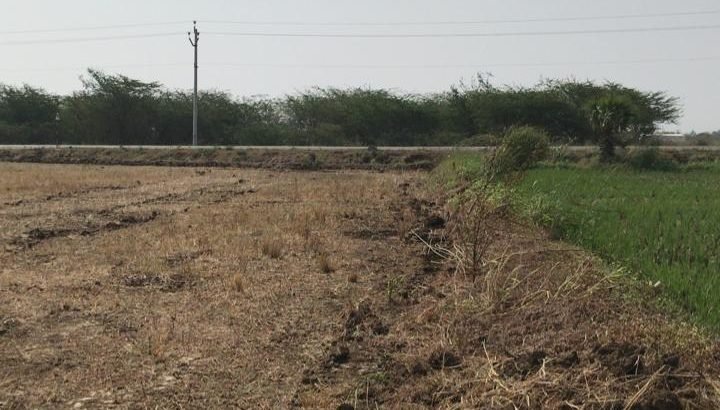 Commercial Open Site For Sale at Gannavaram to Purushothapatnam, Mustabad Road, Gannavaram.