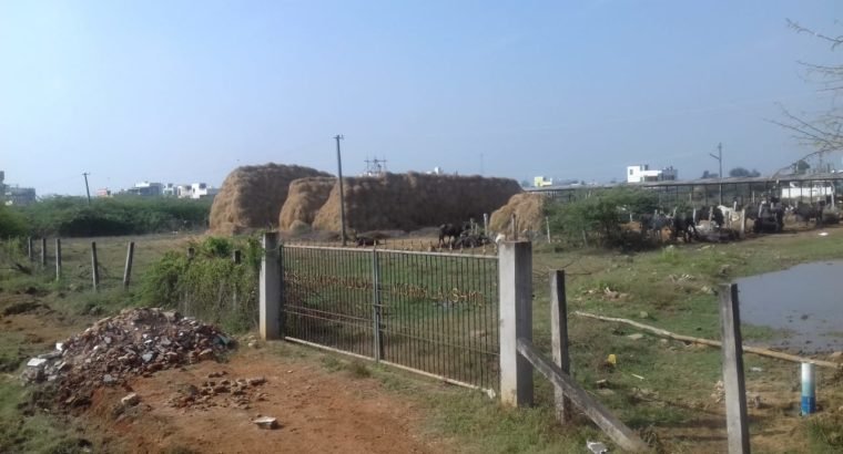 Commercial Site For Lease at Near Highway, Eluru