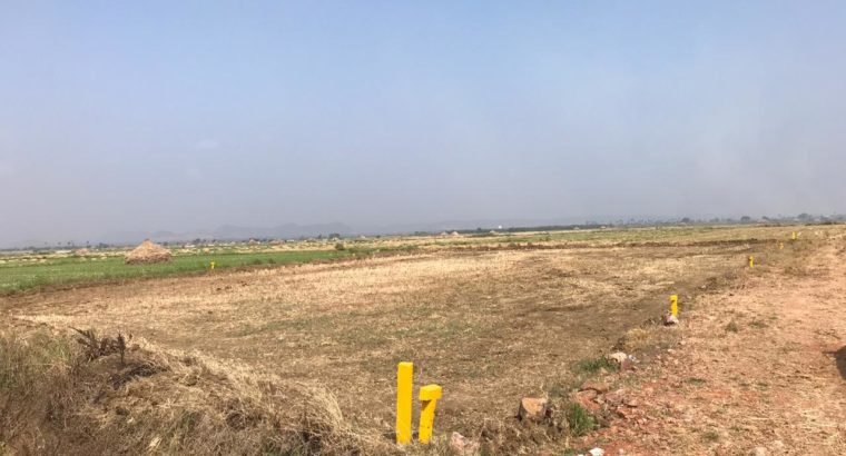 Commercial Open Site For Sale at Gannavaram to Purushothapatnam, Mustabad Road, Gannavaram.