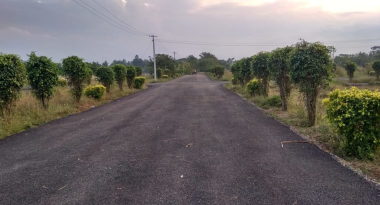 15 Acres of Open Plots CRDA Approved Gated Community by Chanakkya Township, Vijayawada