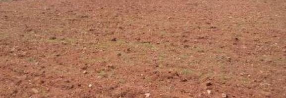 10 Acres Agricultural Land For Sale at Vedadri road, Nandigama