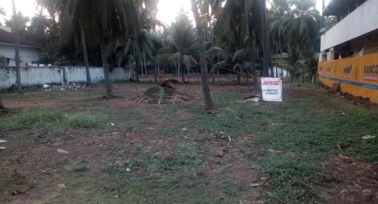 Commercial Open Site For Sale at Nadimilanka, Mummidivaram