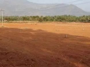 Residential Site For Sale at China Ogirala, Vuyyuru Mandal Krishna District