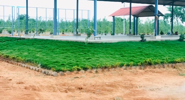 100 + Acres Mega Project Sandalwood Resort & Farm Plots For Sale at Hyderabad.