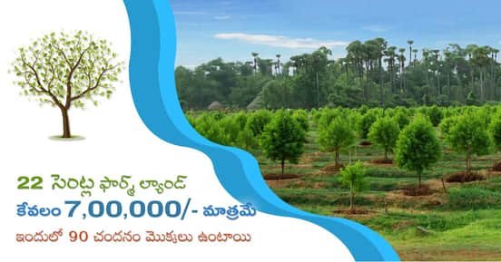 Highway Face Red Sandalwood & Agar wood Plantation Plots