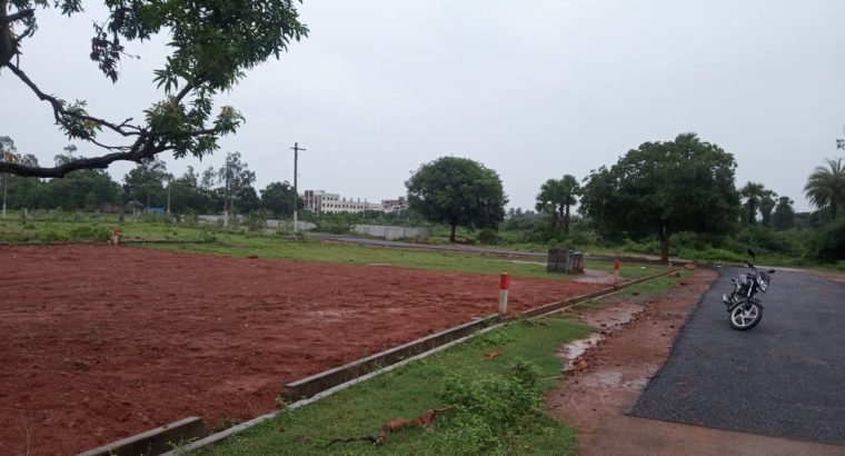 Site For Sale at Near Peddabulli Cheruvu, Samalkot