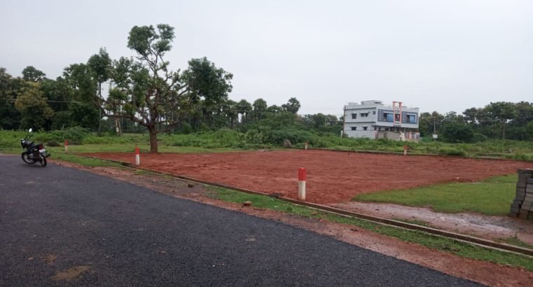 Site For Sale at Near Peddabulli Cheruvu, Samalkot