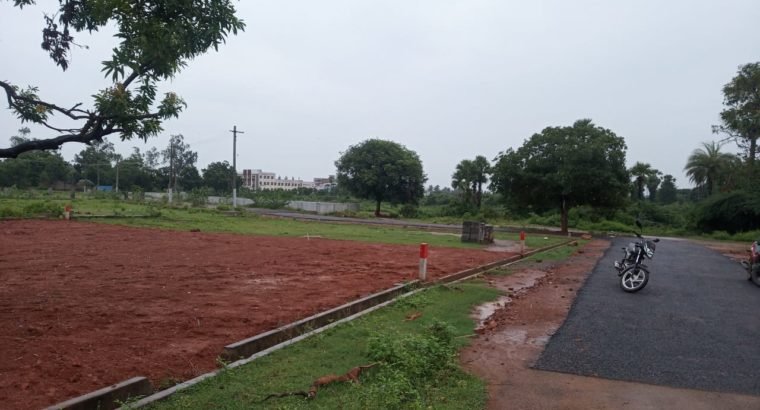 Site For Sale at Near Peddabulli Cheruvu, Samalkot