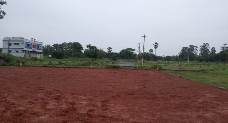 Site For Sale at Near Peddabulli Cheruvu, Samalkot