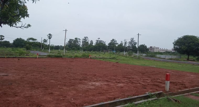 Site For Sale at Near Peddabulli Cheruvu, Samalkot