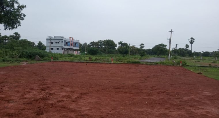 Site For Sale at Near Peddabulli Cheruvu, Samalkot